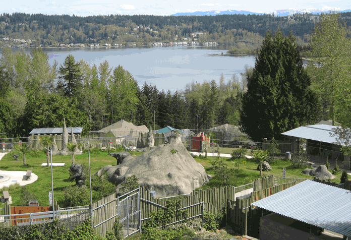 Cougar Mountain Zoo